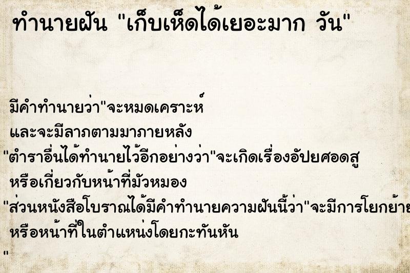 ทำนายฝันทำนายฝันเก็บเห็ดได้เยอะมากวัน